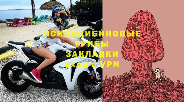 прущие крисы Арсеньев